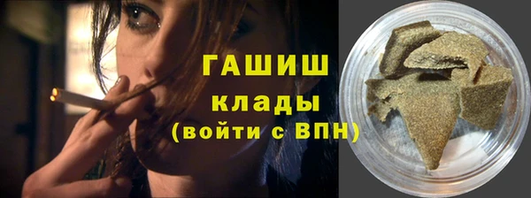 стаф Алзамай