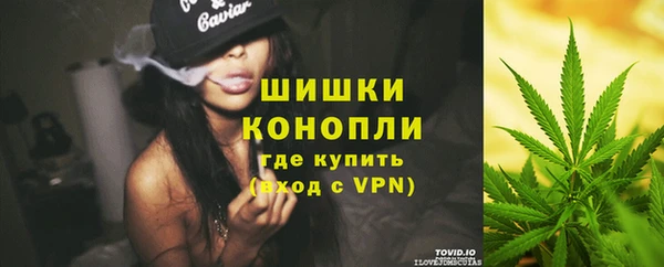 крисы Абдулино
