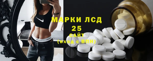 стаф Алзамай