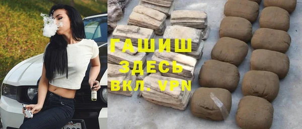 стаф Алзамай