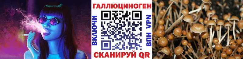 кракен tor  Урюпинск  Галлюциногенные грибы прущие грибы  цена наркотик 